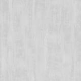 211098 Drybrush Texture/Dove