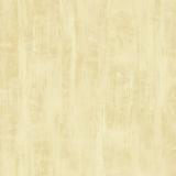 211101 Drybrush Texture/Pale Gold