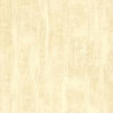 211104 Drybrush Texture/Barley