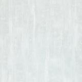 211106 Drybrush Texture/Palest blue