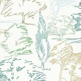 211667 Aspen Teal/Aqua