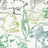 211671 Aspen Forest/Charcoal