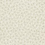213626 Coral Silver