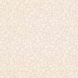 213642 Sweet Pea Rose Pink