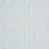25096105