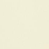 211964 Addison Plain - Cream