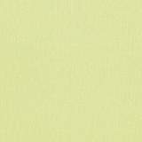 211965 Addison Plain - Olive