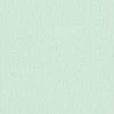 211970 Addison Plain - Duck Egg
