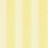 211973 Addison Stripe - Primrose/Ivory