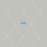 Обои Cole & Son Archive Anthology 100/13062