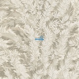 Обои Cole & Son Archive Anthology 100/1005