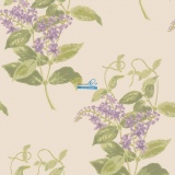 Обои Cole & Son Archive Anthology 100/12056