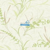 Обои York Ashford House Botanical Fantasy WB5416