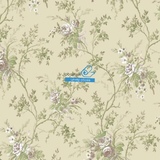 Обои York Georgetown Designs Roses PN0456