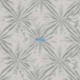 Обои Cole & Son Frontier 89/9035