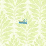Обои York Ashford House Botanical Fantasy WB5493