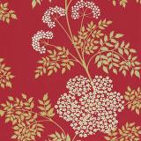 DOPWCO102 Cowparsley