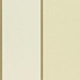 DAPGBR104 Braided Stripe