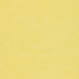 DPFWPP103 Parchment Plain-Linden Green 