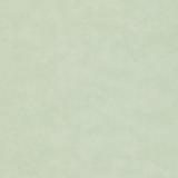 DPFWPP104 Parchment Plain-Pewter
