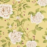 DPEMPT104 Peony Tree Citrus/Purple