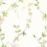 DPEMPF102 Passion Flower Cream/Red