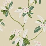 212130 Oleander Rose/Cream