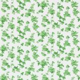 214593 Hedera Green 