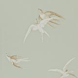 DVIWSW102 Swallows