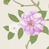 213375 Christabel Amethyst/Ivory