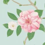 213378 Christabel Pink/Sky