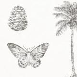 213384 Cocos Ivory/Charcoal 