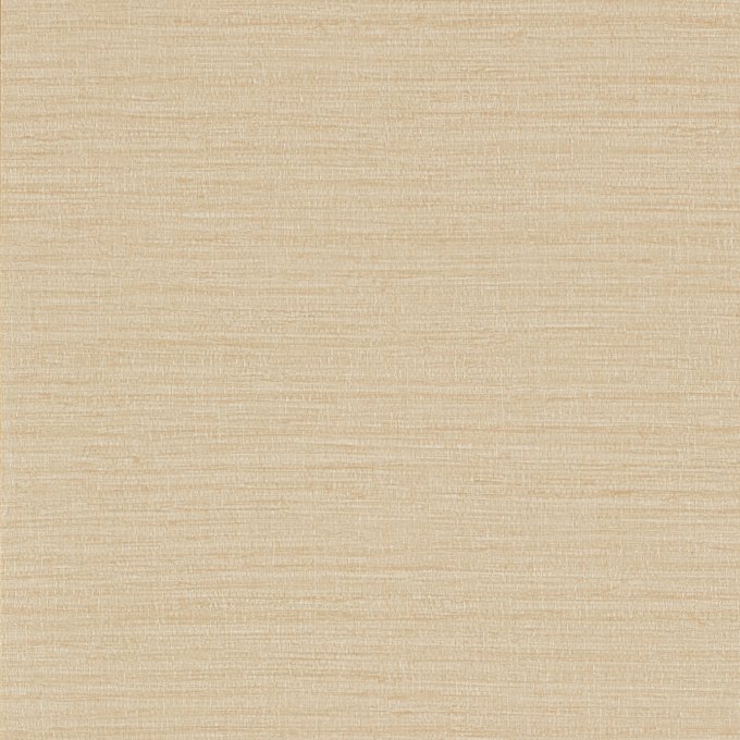 213047 Io Biscuit