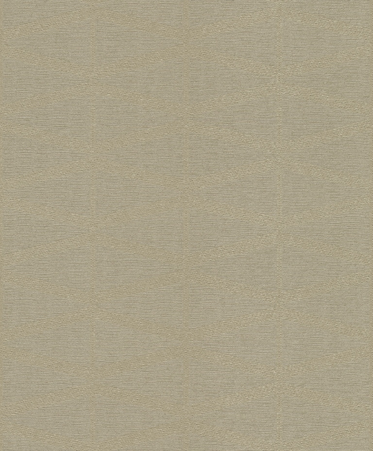 529838
