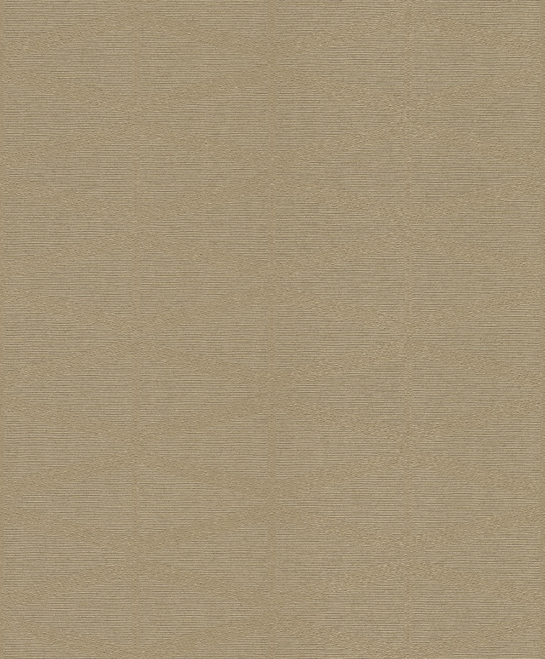 529876