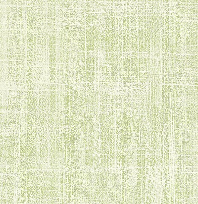 213727 Washi Olive