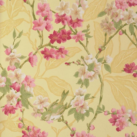 DCLABS103 Birdsong-Yellow/Pink