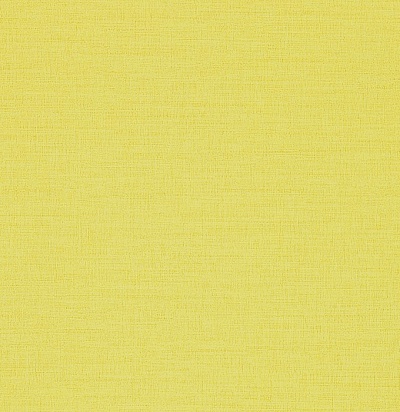 211685 Linum Lime