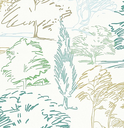 211667 Aspen Teal/Aqua