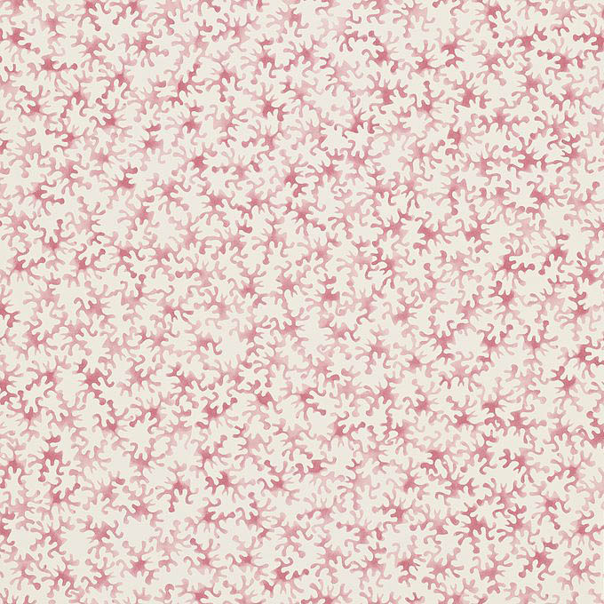 213628 Coral Rose Pink 