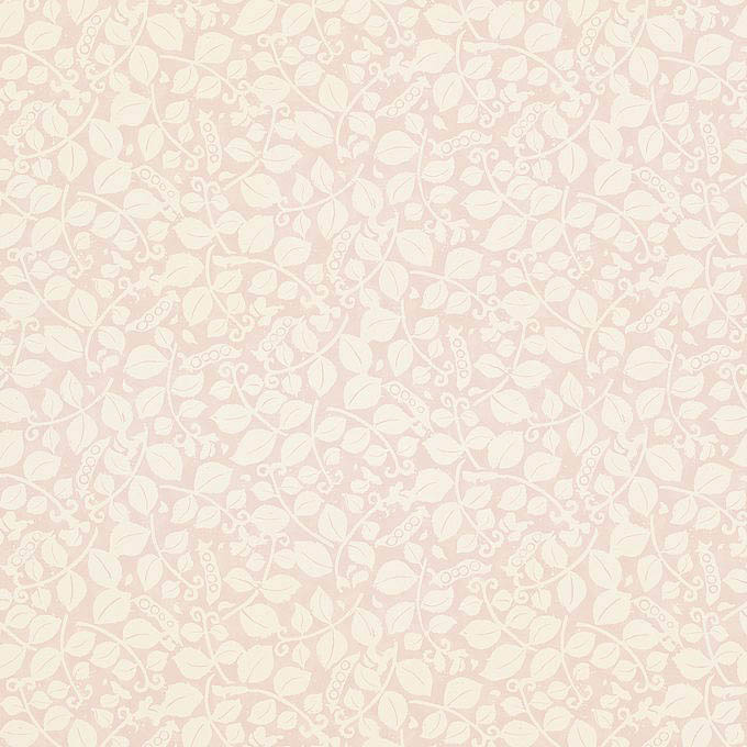 213642 Sweet Pea Rose Pink