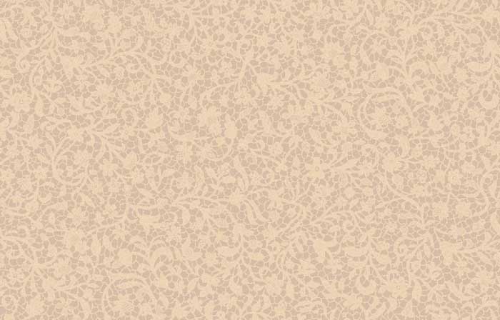 Lace 012