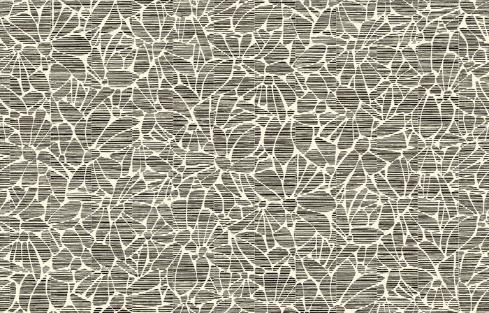Sisal 011