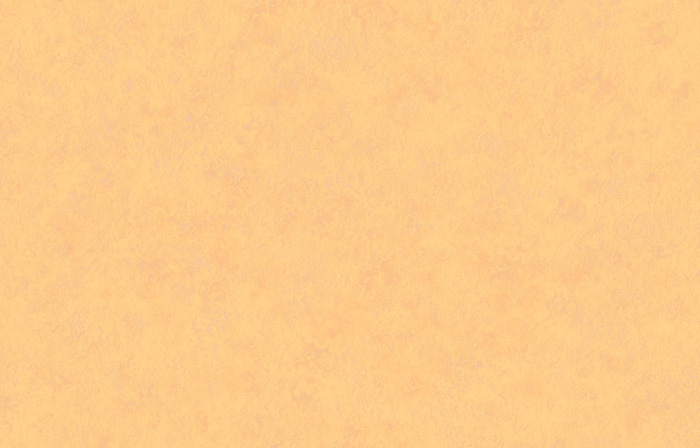 Stucco 016