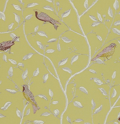 DOPWFI102 Finches