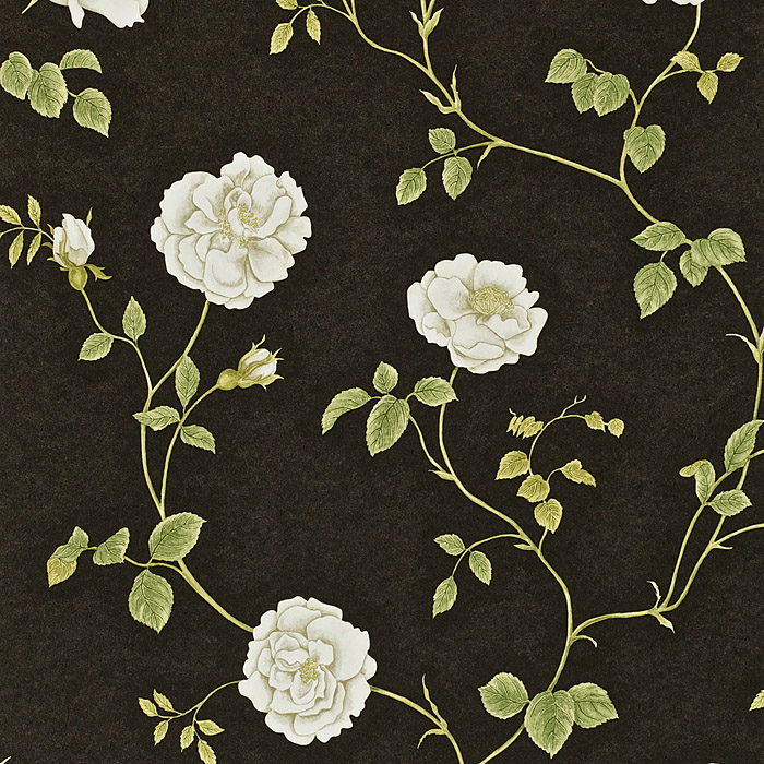 DAPGRO104 Rosalie