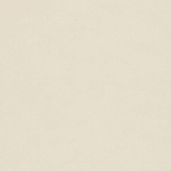 DPFWPP102 Parchment Plain-Neutral