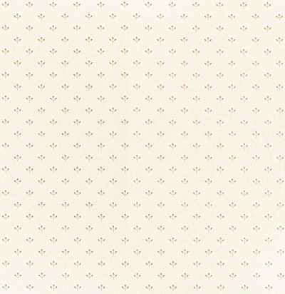 DPEMEL105 Elliot Ivory/Neutral