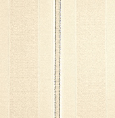 DPEMNP104 Netherfield Paper Linen/Black