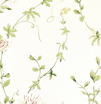 DPEMPF102 Passion Flower Cream/Red